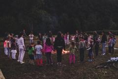 (FILEminimizer) tabor_2020 (31)